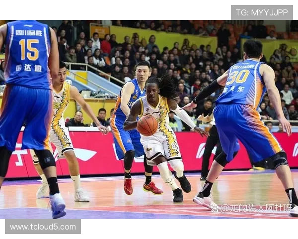 聚焦篮球超级巨星成长历程与赛场荣耀全面解读其影响力与未来展望