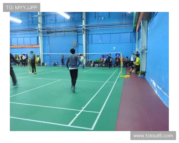 杭州羽毛球队在精英赛中的个人能力分析与表现评估